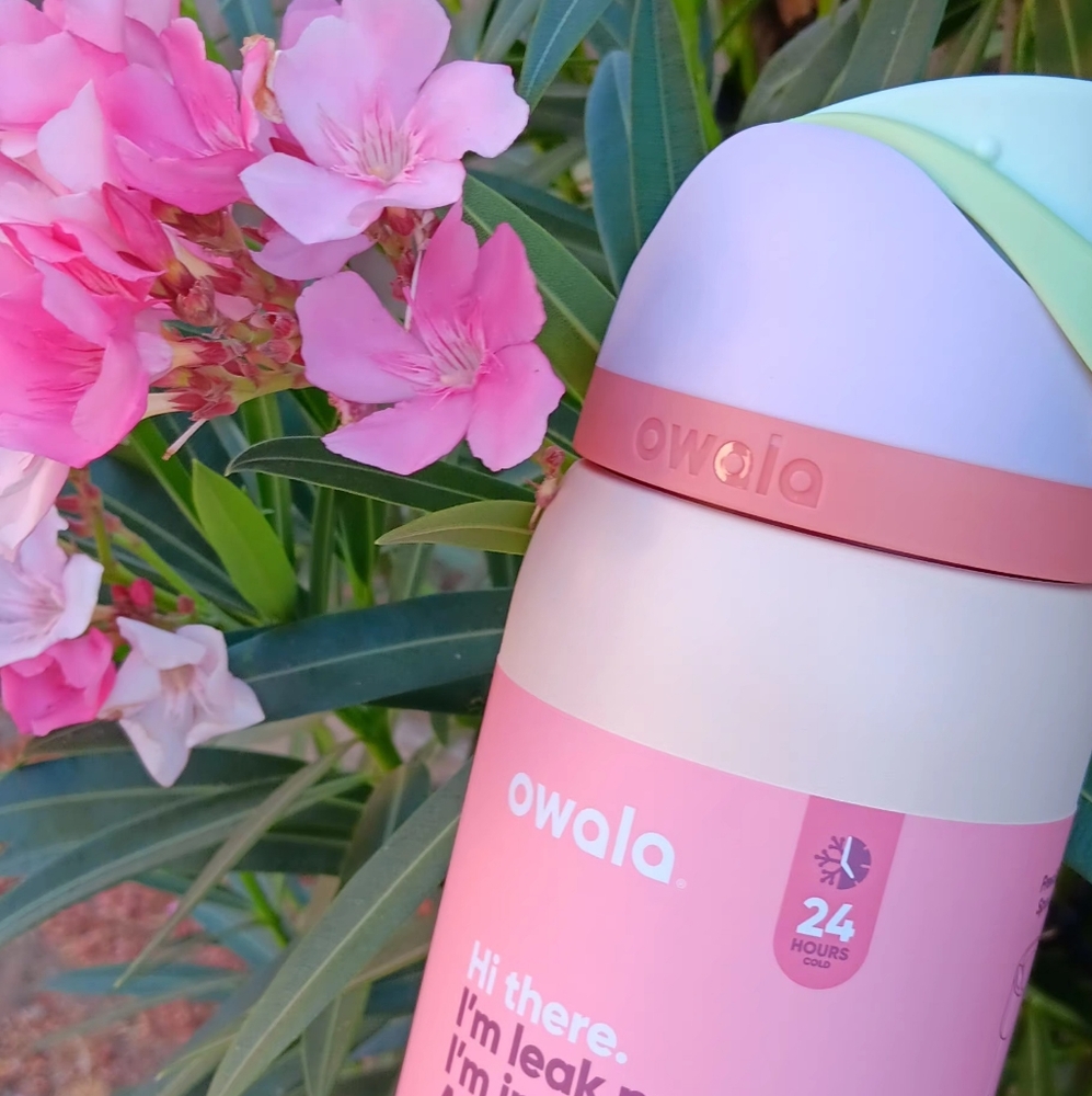 Owala Waterbottle Desert Bloom Whole Foods Exclusive Color Limited Edition New